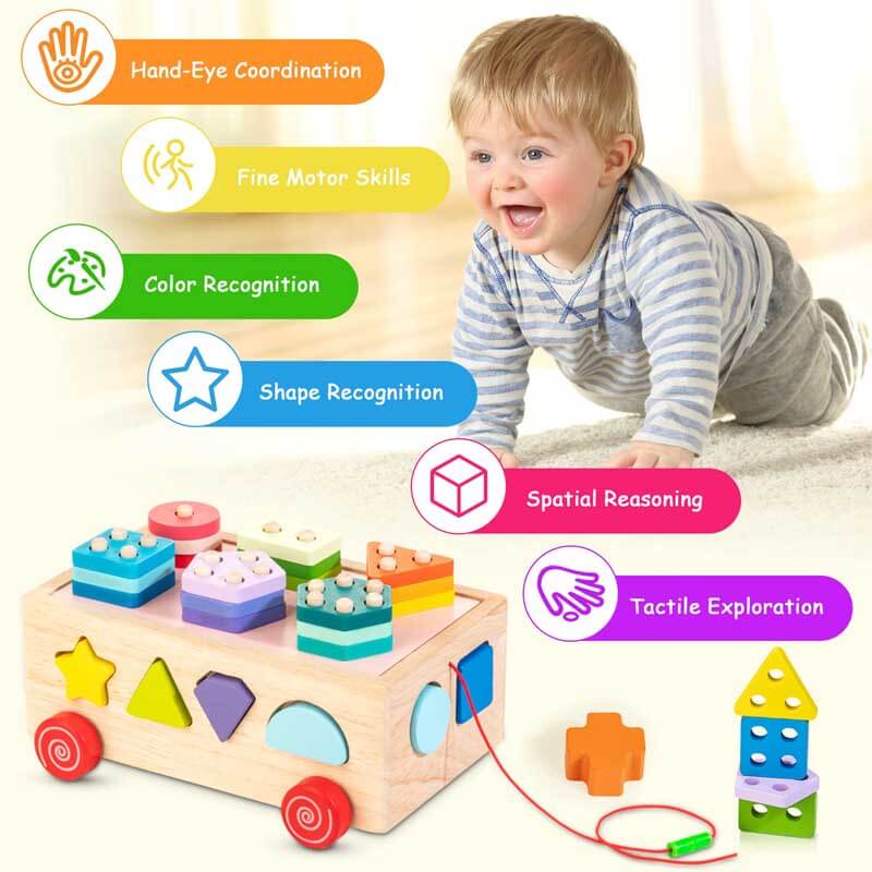 Montessori Wooden Activity Cube