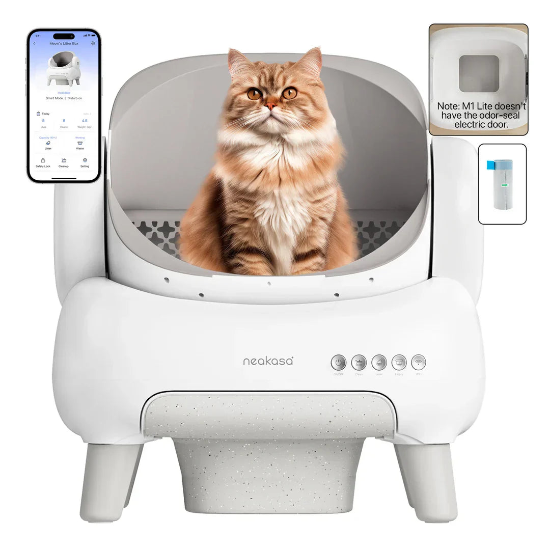 Open-Top Self-Cleaning Automatic Litter Box