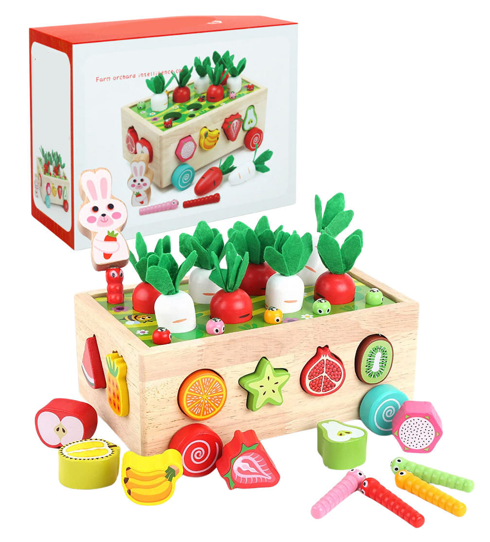 Montessori Garden Shape Sorter