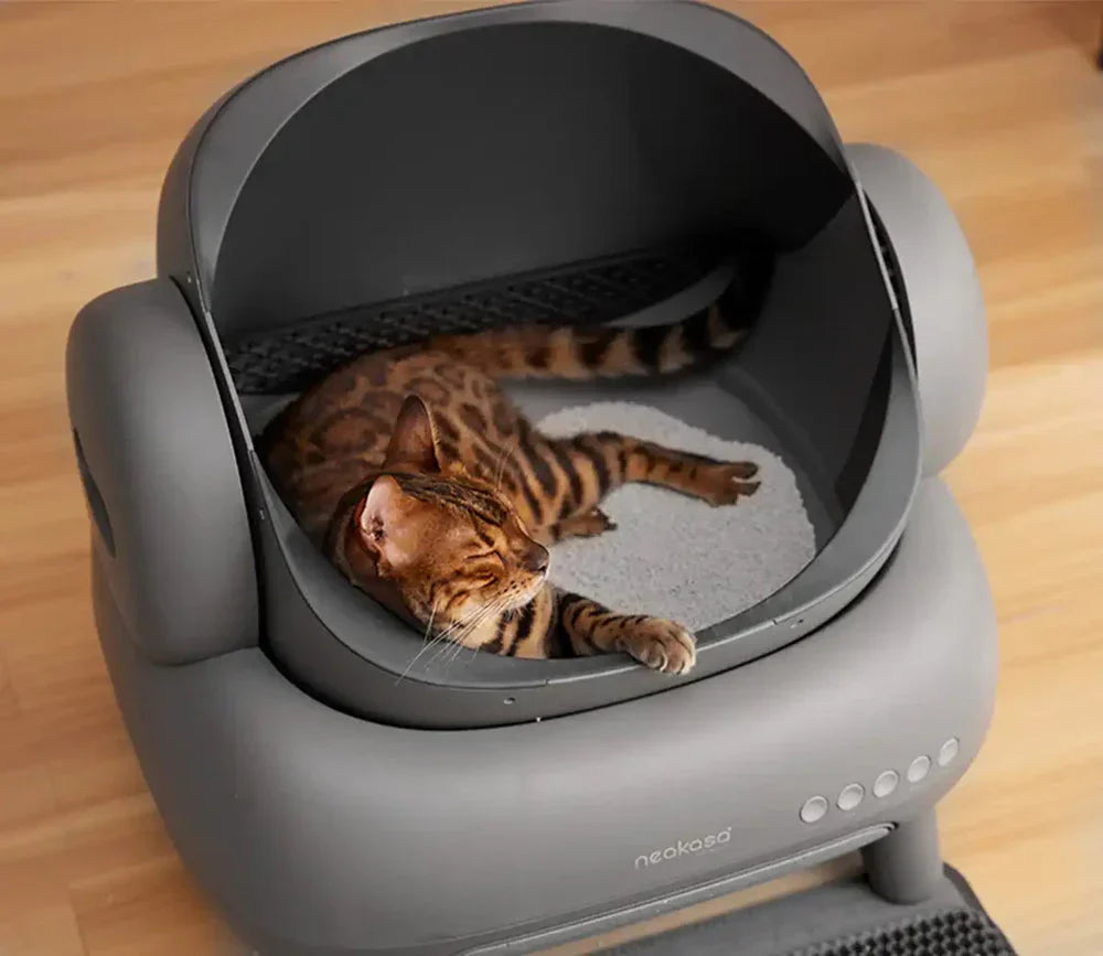 Open-Top Self-Cleaning Automatic Litter Box