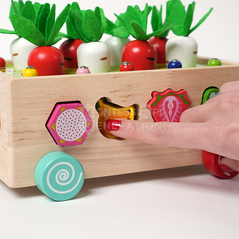 Montessori Carrot Wheels