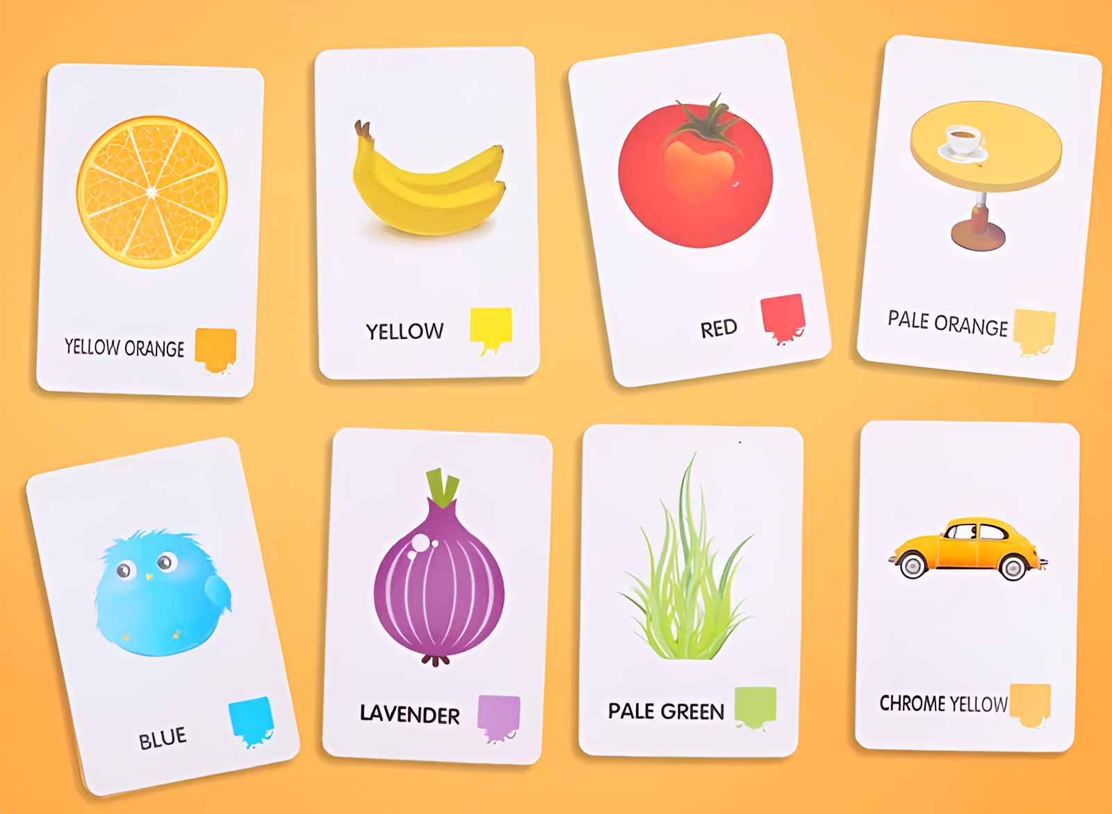 Montessori Educational Flashcards