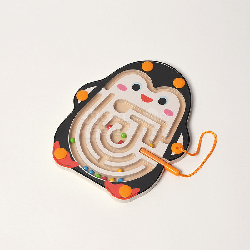 Montessori Magnetic Maze