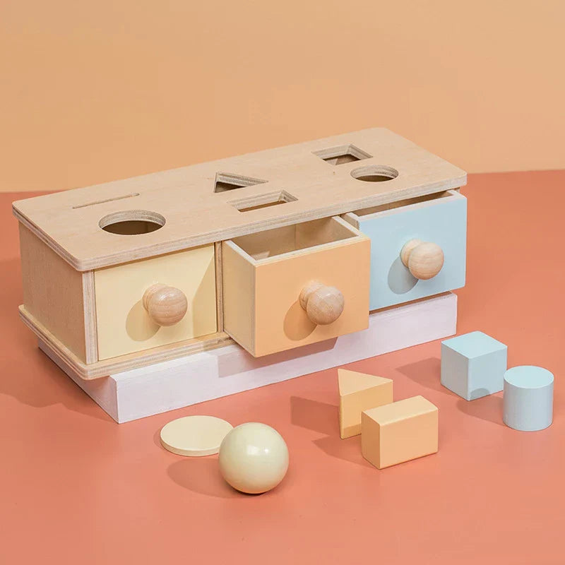 Montessori Drawers™- Shaped Drawers