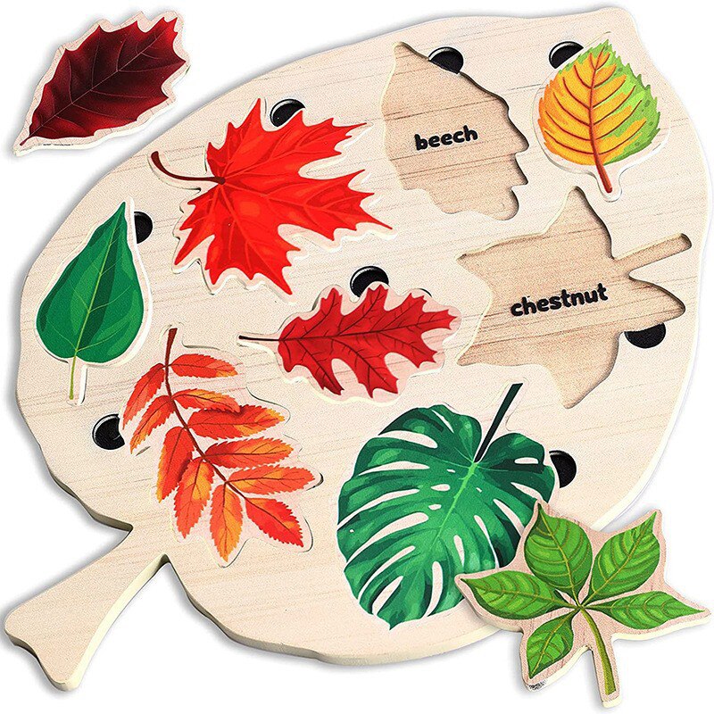 Montessori Leaves™- Educational Leaves