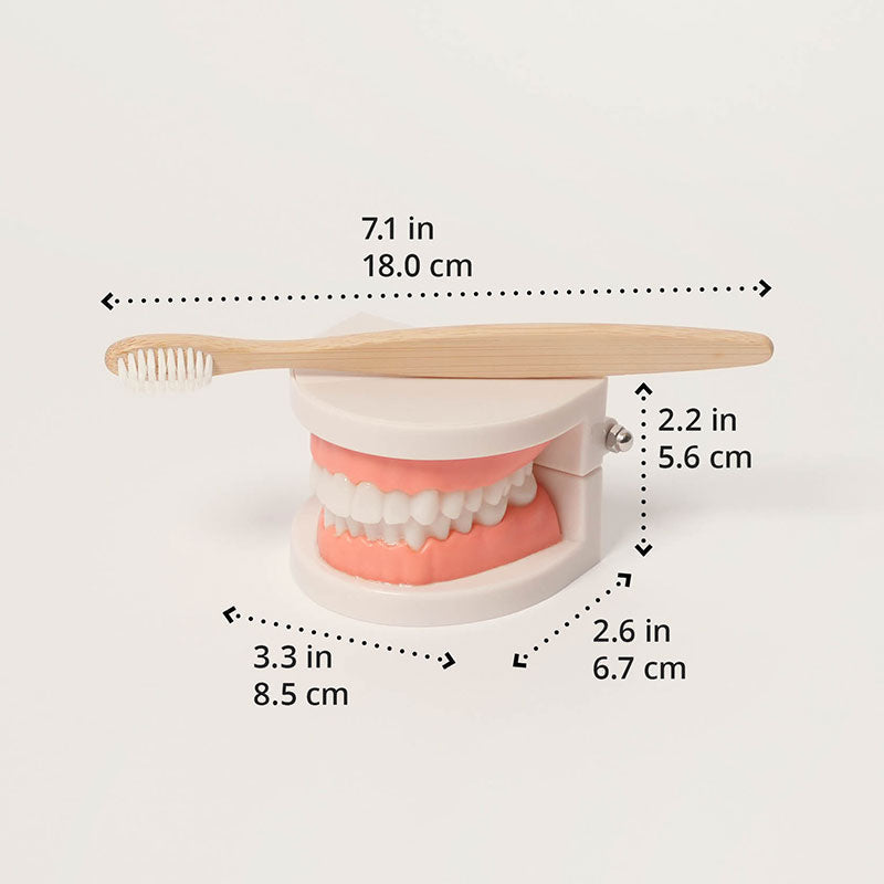 Montessori Brushing Teeth